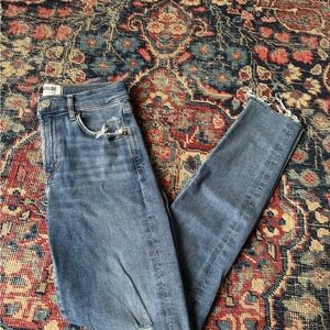 Agolde Blue Skinny Jeans